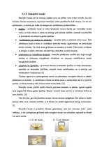 Konspekts 'Virtuves trauku un piederumu tīrīšana un kopšana', 8.