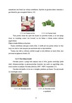 Konspekts 'Virtuves trauku un piederumu tīrīšana un kopšana', 15.