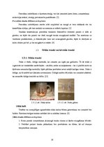 Konspekts 'Virtuves trauku un piederumu tīrīšana un kopšana', 16.