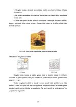 Konspekts 'Virtuves trauku un piederumu tīrīšana un kopšana', 17.