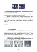 Konspekts 'Virtuves trauku un piederumu tīrīšana un kopšana', 18.