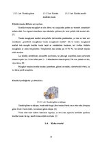 Konspekts 'Virtuves trauku un piederumu tīrīšana un kopšana', 19.