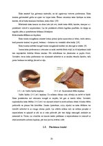 Konspekts 'Virtuves trauku un piederumu tīrīšana un kopšana', 20.