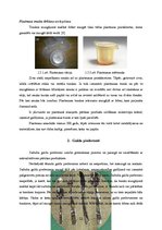 Konspekts 'Virtuves trauku un piederumu tīrīšana un kopšana', 21.