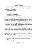 Referāts 'Transporta veidi tūrismā', 10.