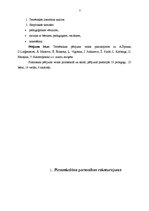 Diplomdarbs 'Pamatnosacījumi pirmsskolēna veiksmīgai mācību darbības uzsākšanai skolā', 7.