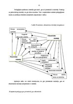 Diplomdarbs 'Pamatnosacījumi pirmsskolēna veiksmīgai mācību darbības uzsākšanai skolā', 42.
