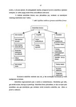 Diplomdarbs 'Pamatnosacījumi pirmsskolēna veiksmīgai mācību darbības uzsākšanai skolā', 47.