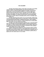 Eseja 'Kas ir īsta māksla?', 1.