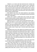Referāts 'Skaidras un bezskaidras naudas līdzekļu uzskaite uzņēmumā', 12.