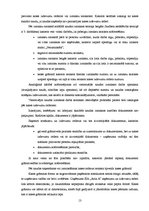 Referāts 'Skaidras un bezskaidras naudas līdzekļu uzskaite uzņēmumā', 13.
