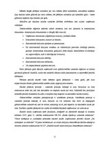 Referāts 'Skaidras un bezskaidras naudas līdzekļu uzskaite uzņēmumā', 15.
