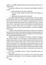 Referāts 'Skaidras un bezskaidras naudas līdzekļu uzskaite uzņēmumā', 19.