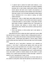 Referāts 'Skaidras un bezskaidras naudas līdzekļu uzskaite uzņēmumā', 21.