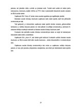Referāts 'Skaidras un bezskaidras naudas līdzekļu uzskaite uzņēmumā', 29.