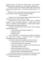Referāts 'Skaidras un bezskaidras naudas līdzekļu uzskaite uzņēmumā', 31.