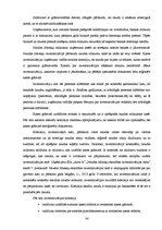 Referāts 'Skaidras un bezskaidras naudas līdzekļu uzskaite uzņēmumā', 34.