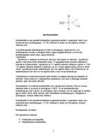 Konspekts 'Skābes', 2.