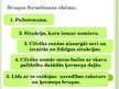 Prezentācija 'Ķermeņu orientēta psihoterapija, psihosomatika', 7.