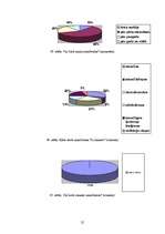 Referāts 'Smaržas kā prieka elements ķermenim un garam', 27.