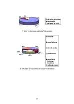 Referāts 'Smaržas kā prieka elements ķermenim un garam', 31.
