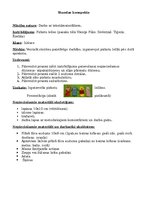 Prezentācija 'Konspekts mājturībā 3.klasei', 1.