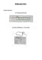 Prezentācija 'Konspekts mājturībā 3.klasei', 5.