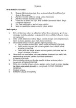 Prezentācija 'Konspekts mājturībā 3.klasei', 10.