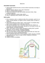 Prezentācija 'Konspekts mājturībā 3.klasei', 12.