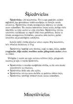 Referāts 'Pārtika', 15.