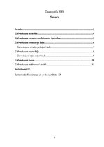 Referāts 'Galvaskauss', 2.