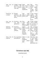 Referāts 'Galvaskauss', 8.