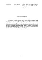 Referāts 'Galvaskauss', 11.