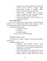 Referāts 'Eiropas Savienības paplašināšanās pieci posmi', 19.