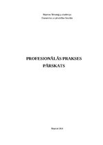 Prakses atskaite 'Profesionālās prakses pārskats', 1.