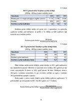 Prakses atskaite 'Profesionālās prakses pārskats', 29.