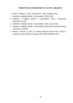 Prakses atskaite 'Profesionālās prakses pārskats', 33.