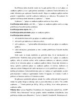 Diplomdarbs 'SIA "X" peļņas vai zaudējuma aprēķina analīze', 9.