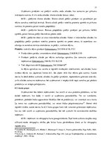 Diplomdarbs 'SIA "X" peļņas vai zaudējuma aprēķina analīze', 17.