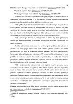 Diplomdarbs 'SIA "X" peļņas vai zaudējuma aprēķina analīze', 26.