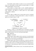 Diplomdarbs 'SIA "X" peļņas vai zaudējuma aprēķina analīze', 35.