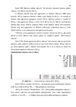 Diplomdarbs 'SIA "X" peļņas vai zaudējuma aprēķina analīze', 48.