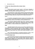 Referāts 'Pašvaldības', 13.