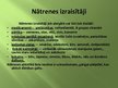 Prezentācija 'Nātrene', 5.