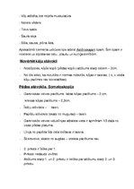 Paraugs 'Somatoskopija', 3.