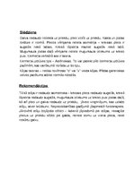 Paraugs 'Somatoskopija', 4.