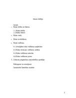 Referāts 'Uzņēmējdarbības riski, to būtība, veidi un mazināšanas iespējas', 2.