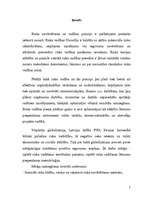 Referāts 'Uzņēmējdarbības riski, to būtība, veidi un mazināšanas iespējas', 3.