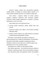 Referāts 'Uzņēmējdarbības riski, to būtība, veidi un mazināšanas iespējas', 12.