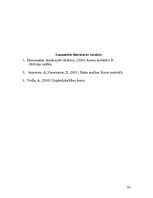 Referāts 'Uzņēmējdarbības riski, to būtība, veidi un mazināšanas iespējas', 23.